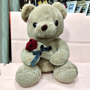 Valentine Teddy Bear